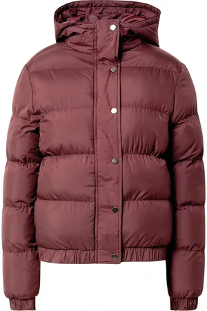 Urban classics Chaqueta de invierno