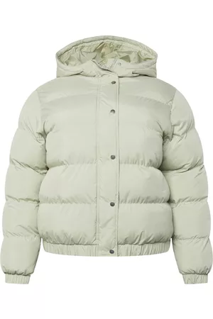 Urban classics Chaqueta de invierno