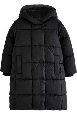 Next Abrigo