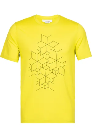 Icebreaker Camiseta funcional 