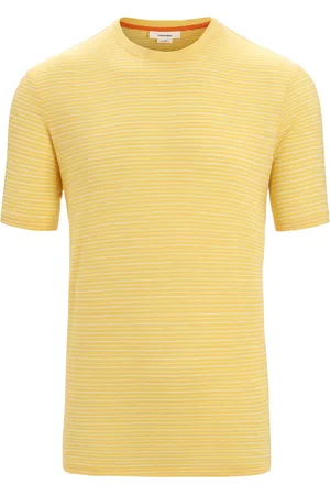Icebreaker Camiseta funcional