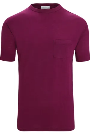 Icebreaker Camiseta funcional 