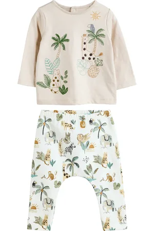 Next Conjunto