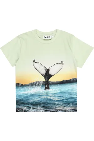 Molo Camiseta 