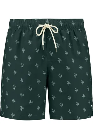 Shiwi Bermudas 