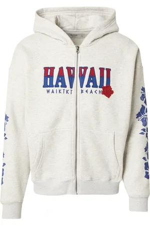 Hollister Sudadera con cremallera