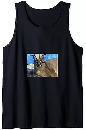 Big Floppa My Beloved Caracal Cat Meme - Camiseta con cuello en V para mujer