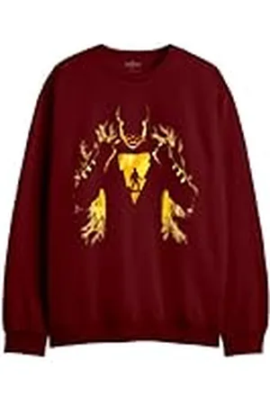 DC Comics Originals Meshazmsw001 Sudadera, , XXL para Hombre