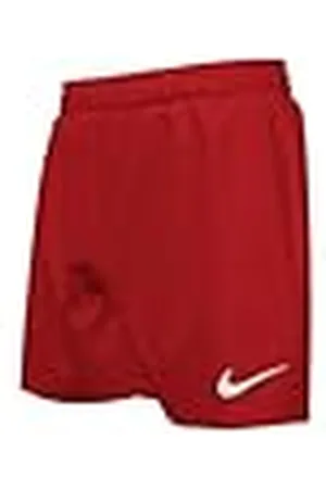 Nike Bañador Modelo 4" Volley Short Marca