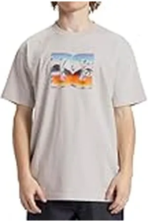 Dcshoes Dcshoes Chrome, Camiseta para Hombre Gris