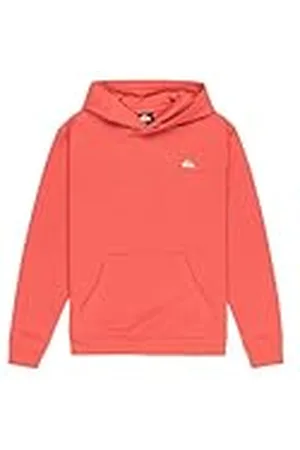 Quiksilver Sudadera con Capucha de Manga Larga Basic Hoodie para niño, Color Rosa 16
