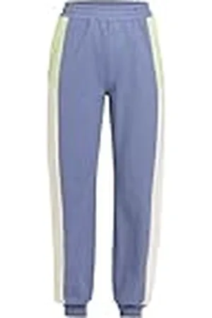 Roxy Essential Energy CBLOCK Jogger Sudadera, Wild Wind, Estándar para Mujer