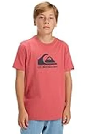 Quiksilver Camiseta de Manga Corta EV Comp Logo SS Kids Rosa 16
