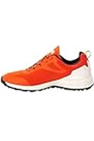 Jack Wolfskin Woodland Shell Texapore Low M, Zapatillas para Caminar Hombre, , 39.5 EU