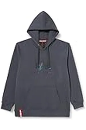 Alpha Industries Sudadera con Capucha Basic Rainbow Ref. Print para Hombre, , M