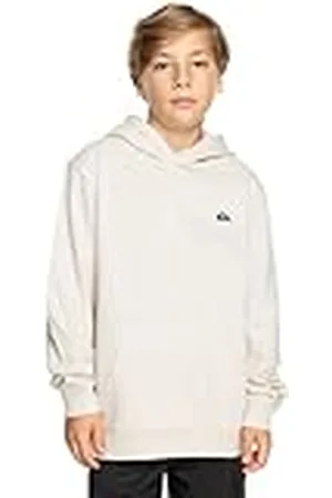 Quiksilver Basic Hoodie Jersey de Forro Polar - Niño