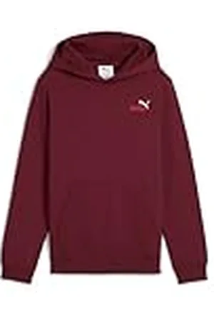 PUMA ESS 2 Color Small No. 1 Logo Hoodie FL B