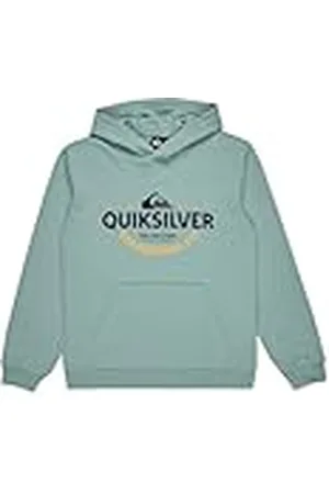 Quiksilver Typed out Hoodie Jersey de Forro Polar - Niño