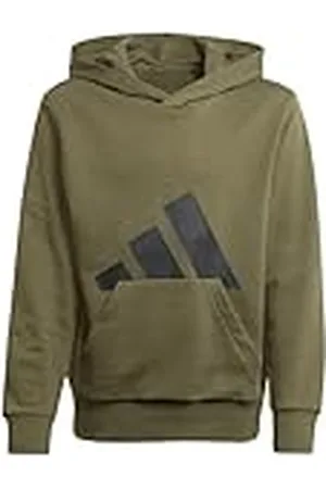 adidas Unisex niños Essentials Big Logo Hoodie, Olive strata/Black, 13-14 Years
