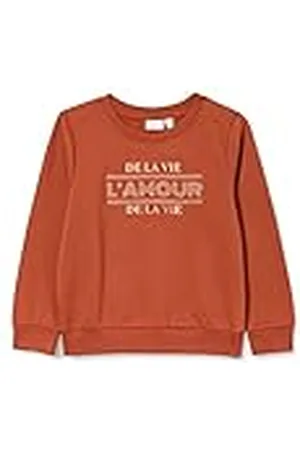 NAME IT Nkframour LS Sweat Box BRU-Sudadera, , 134 cm-140 cm para Niñas