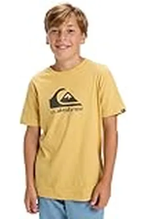 Quiksilver Camiseta de Manga Corta EV Comp Logo SS Kids Amarillo 16