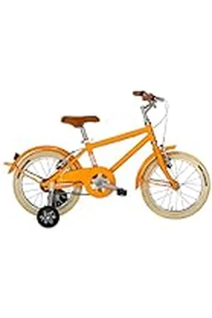 Alpina Bike Bicicleta Olanda Niños 16"