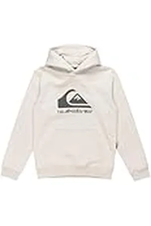 Quiksilver Big Logo Hoodie Jersey de Forro Polar - Niño