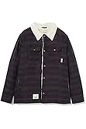 L1 Hamilton JKT