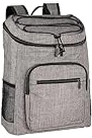 AmazonBasics Bolsa isotérmica impermeable y ligera con aislamiento térmico, capacidad para 20 l (30 latas)