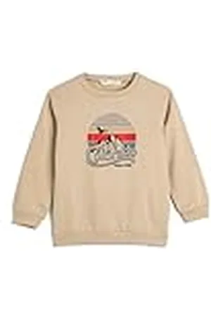 Koton Sweatshirt Long Sleeve Crew Neck Printed Detail Brushed Interior, Sudadera niños,