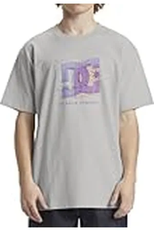 Dcshoes Dcshoes Fine Art, Camiseta para Hombre Gris