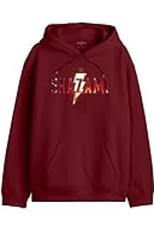 DC Comics Originals Meshazmsw004 Sudadera con Capucha, , L para Hombre