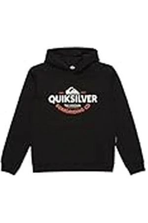 Quiksilver Typed out Hoodie Jersey de Forro Polar - Niño