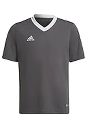 adidas Entrada 22 Jersey T-Shirt, Unisex niños, , 15-16 Years