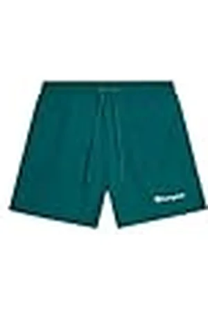 Champion Legacy Icons Beachshorts-Crinkle Taslon Small Script Logo Brief Bañador para Hombre, , L
