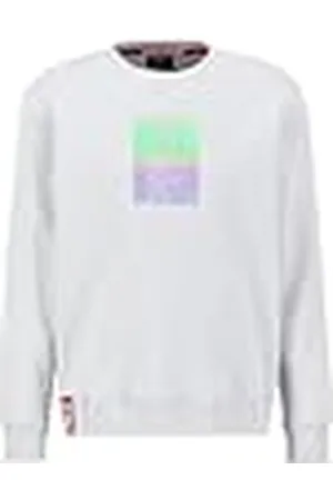 Alpha Industries Sudadera Rainbow Refl. Label para Hombre, , L
