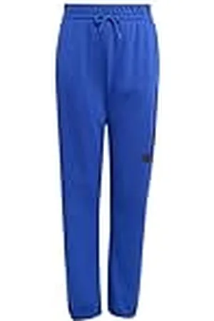 adidas Unisex niños Essentials Big Logo Pants, , 15-16 Years