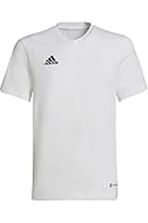 adidas Unisex niños Entrada 22 Tee, White, 13-14 Years