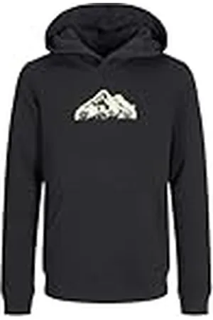 JACK & JONES JACK&JONES JUNIOR JCOMOUNTAIN Logo Sweat Hood SN MNI, Sudadera con Capucha Niños,
