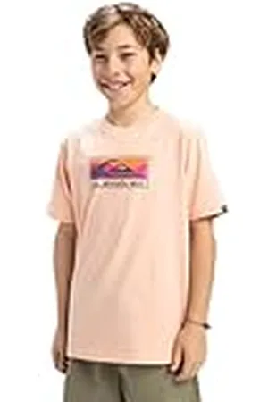 Quiksilver Ev Gradient Box Camiseta de Manga Corta, Niño, 8 años