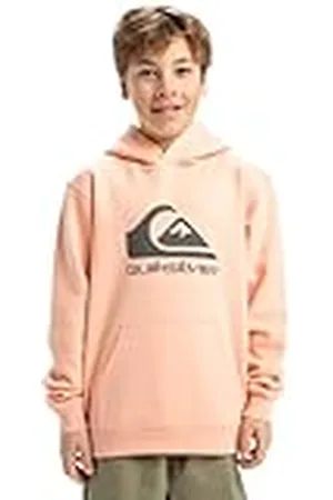 Quiksilver Big Logo Hoodie Jersey de Forro Polar - Niño
