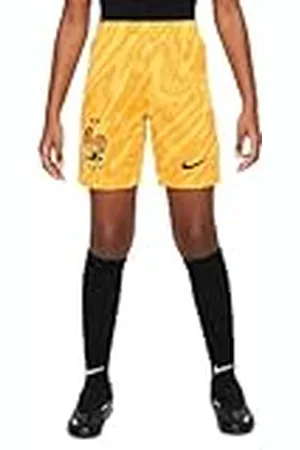 Nike Segunda Equipación Stadium FFF 2024 Pantalón Corto De Fútbol Tipo Réplica Dri-Fit - Niño/A, , FJ4420-719, L