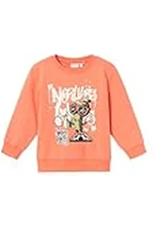 NAME IT NMMNOLAN NREG Sweat Box BRU Sudadera, , 86 para Niños