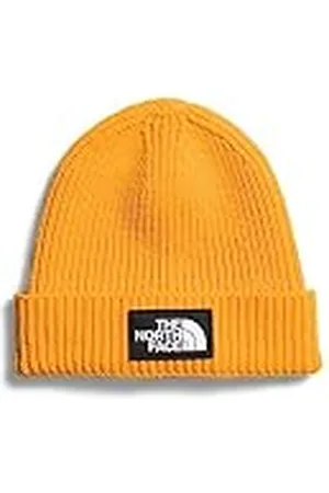 The North Face Unisex Niños Periódico Tapa Caja Logo