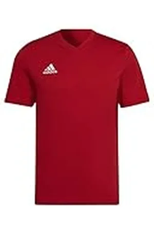 adidas Entrada 22 Tee Camiseta para hombre, , M Extra alto