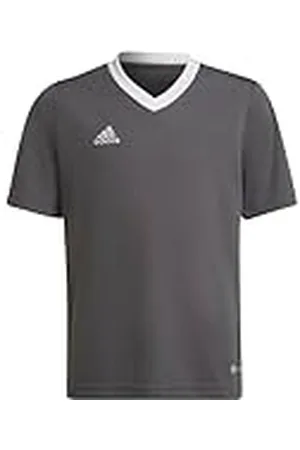 adidas Entrada 22 Jersey T-Shirt, Unisex niños, , 7-8 Years