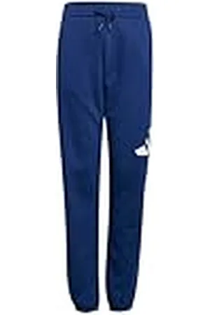 adidas Unisex niños Essentials Big Logo Pants, , 11-12 Years