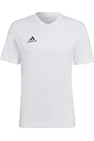 adidas Entrada 22 T-shirt T-Shirt, White, M Tall Hombre