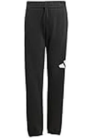 adidas Unisex niños Essentials Big Logo Pants, Black/White, 15-16 Years