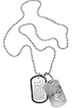 Diesel Collar Para Hombre, Plata Collar De Acero Inoxidable, DX0011040